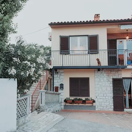 Charming Flat With Comfy Terrace,3001 Apartment